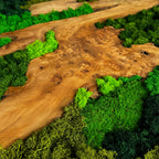 Moosbild Wandkunst; Islandmoos, Rentiermoos, Kugelmoos, Chinesische Spießtanne Wurzel Holz